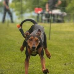 img_4064_20230516_1838962849