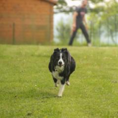 img_4075_20230516_1565188221