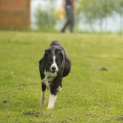 img_4076_20230516_1759013194