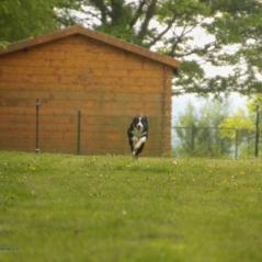 img_4078_20230516_1891811126