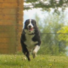 img_4080_20230516_1962847616