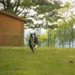 img_4081_20230516_1585402444