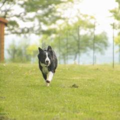 img_4082_20230516_1087205322