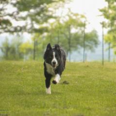 img_4083_20230516_1488842718