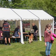 img_4095_20230516_1830460806