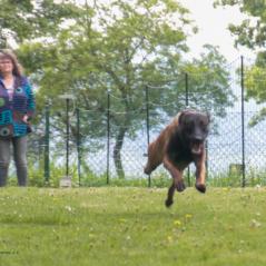 img_4099_20230516_1063879303