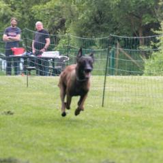 img_4100_20230516_1171552500