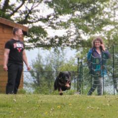 img_4106_20230516_1660711753