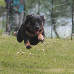 img_4107_20230516_1610190585