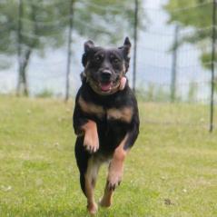 img_4108_20230516_1856286243