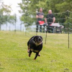 img_4109_20230516_1848037865