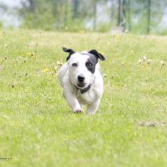 img_4116-2_20230516_1638673364