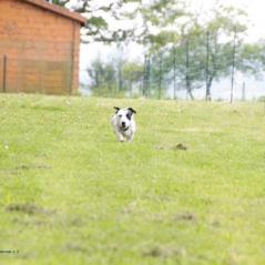 img_4116_20230516_1752535654