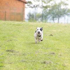 img_4117_20230516_1484789536