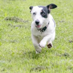 img_4118_20230516_1037692508