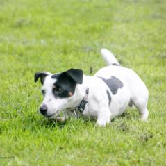 img_4119_20230516_1265117629