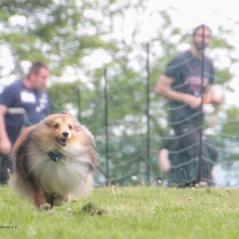 img_4124_20230516_1288598852