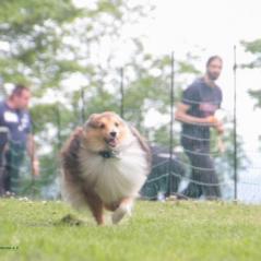 img_4125_20230516_1596959651