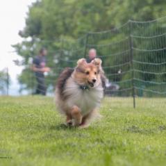 img_4126_20230516_1208093820