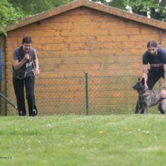 img_4138_20230516_1289405400