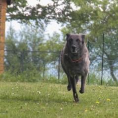 img_4145_20230516_1973769084