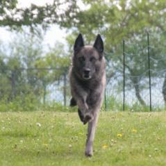 img_4146_20230516_1641834859