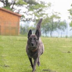 img_4147_20230516_1811307089