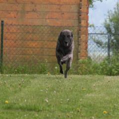 img_4155_20230516_1769945334