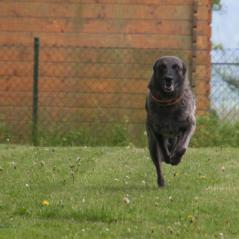 img_4156_20230516_1014861644