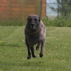 img_4157_20230516_1563029741