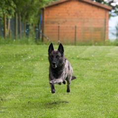 img_4158_20230516_1371294953