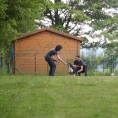 img_4162_20230516_1658317124