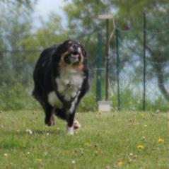 img_4170_20230516_1184230291