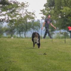 img_4171_20230516_1761093588