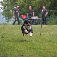 img_4172_20230516_1112339537