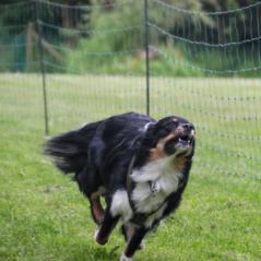 img_4173_20230516_1671795759