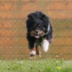 img_4178_20230516_1734016541