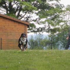 img_4179_20230516_2073634200