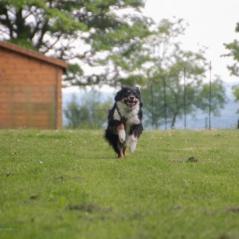 img_4180_20230516_1737984696