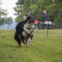 img_4181_20230516_1510439378