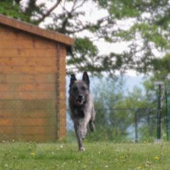 img_4189_20230516_1818519693