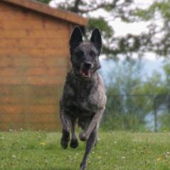 img_4190_20230516_2032754766