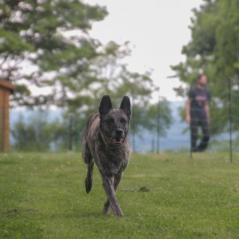 img_4191_20230516_1208655558