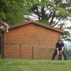 img_4193_20230516_1939530253