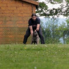 img_4195_20230516_1297103415