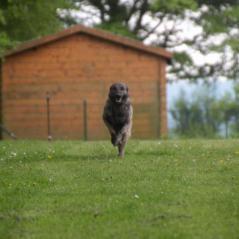 img_4197_20230516_2073362435