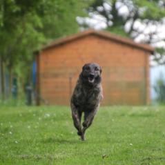 img_4198_20230516_2095494997