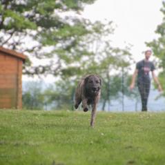 img_4206_20230516_2098189032