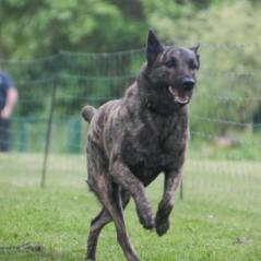 img_4207_20230516_1692849270