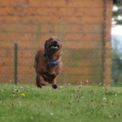 img_4211_20230516_1985029551